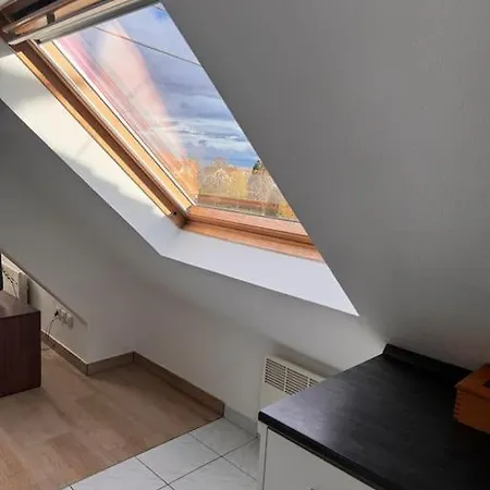 Appartement Douceur Horbourg Exterior foto