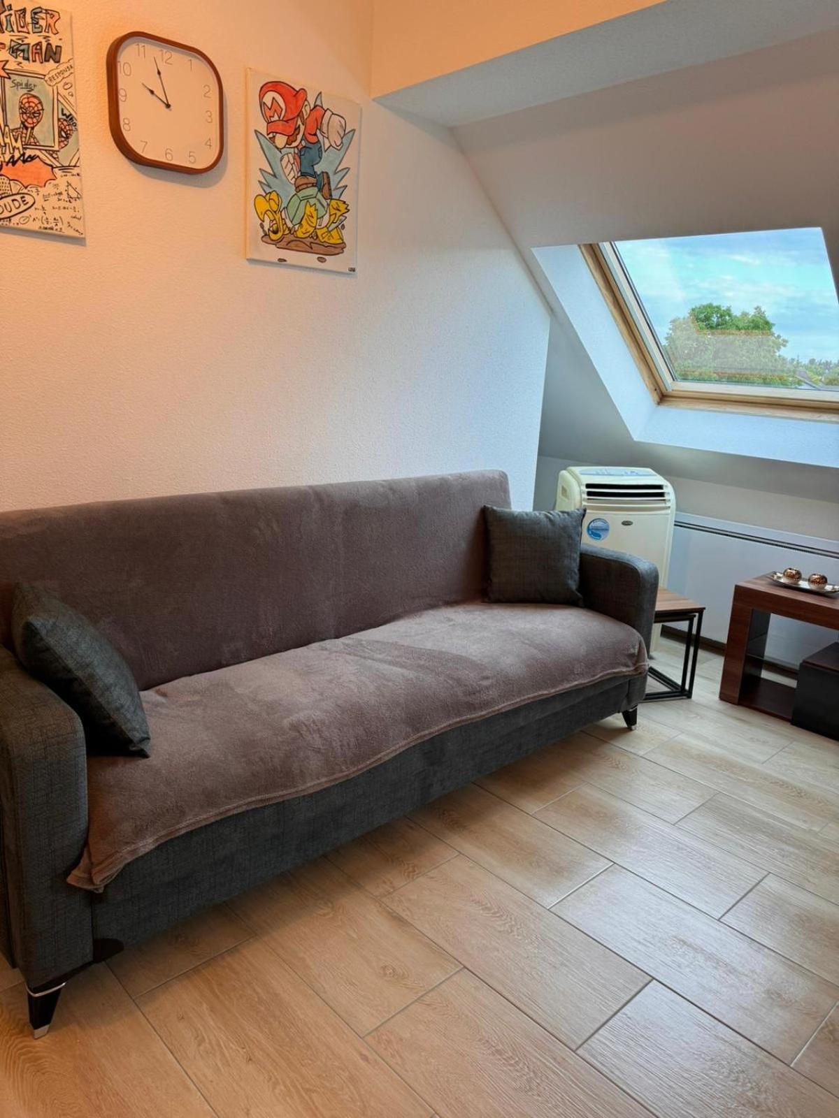 Apartment Douceur Horbourg